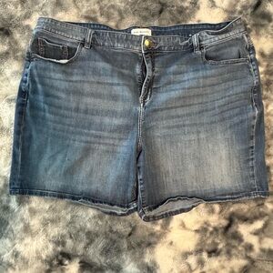 Lane Bryant Women's Blue Jean Shorts
